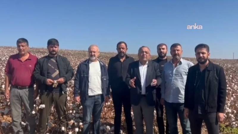 chpli tanrikulu bu yil da destek verilmezse bolgede pamuk uretimi neredeyse sifira dusecek QPIXi97S.png