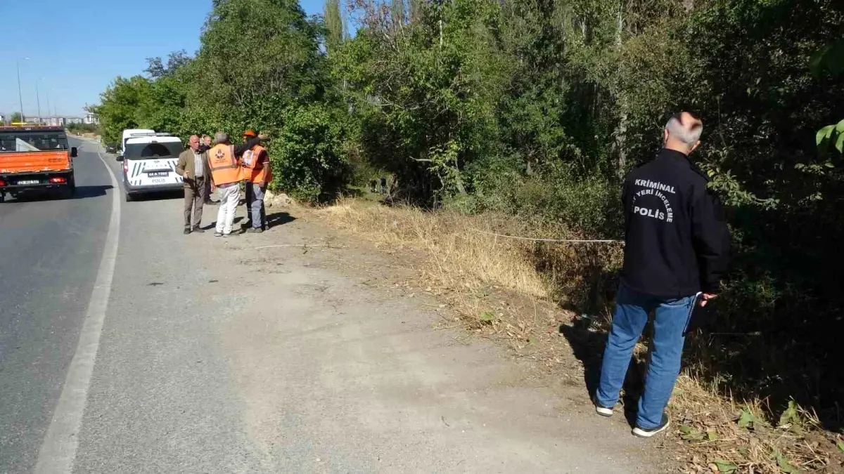 malatyada otomobil kayisi bahcesine uctu 1 yarali fuRuVyTO.jpg