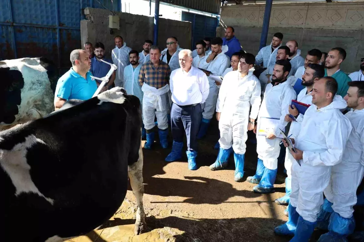 aksarayda sigir egitimi b2Rx85AQ.jpg