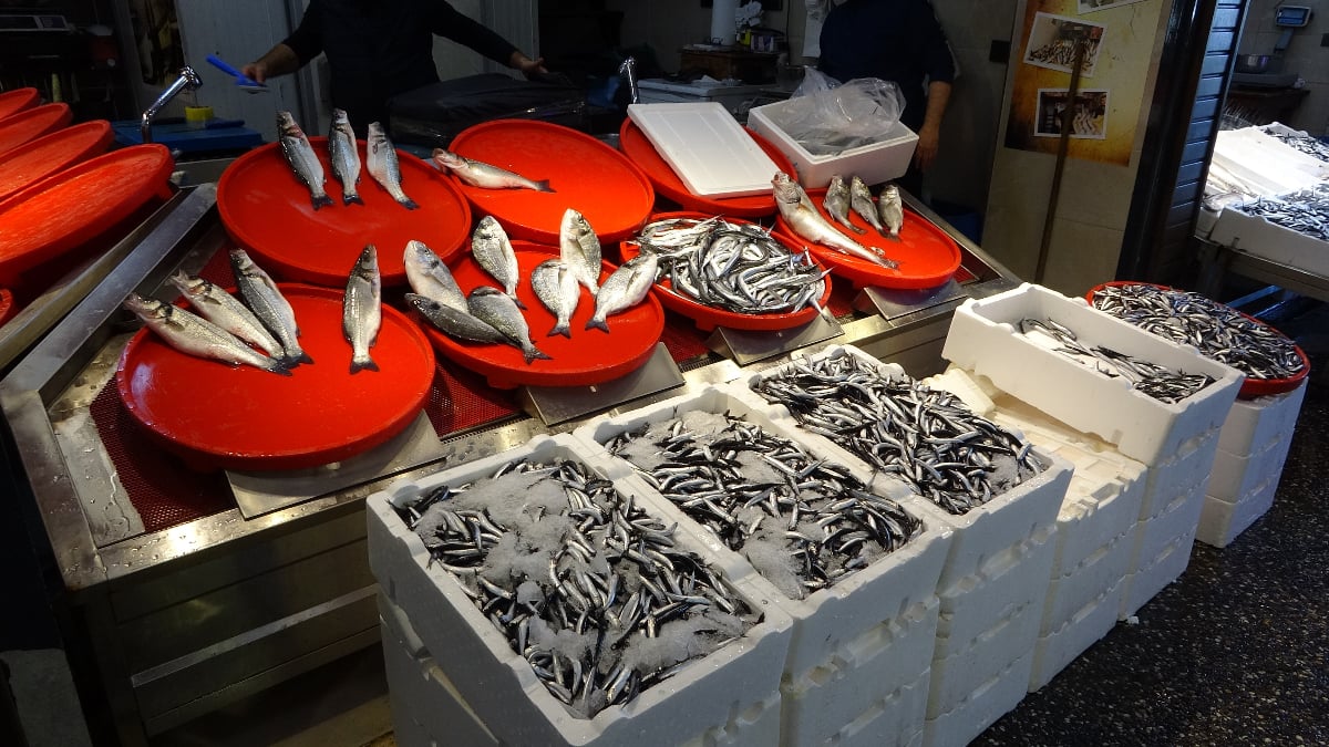 trabzonda palamut sezonu baslamadan bitti 4ulhVLqW.jpg