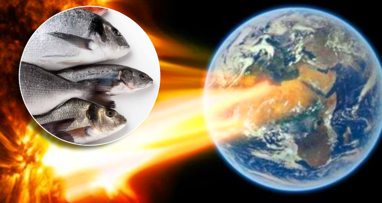 24 Saat Sürecek Manyetik Fırtına Uyarısı: Balık Tüketin!