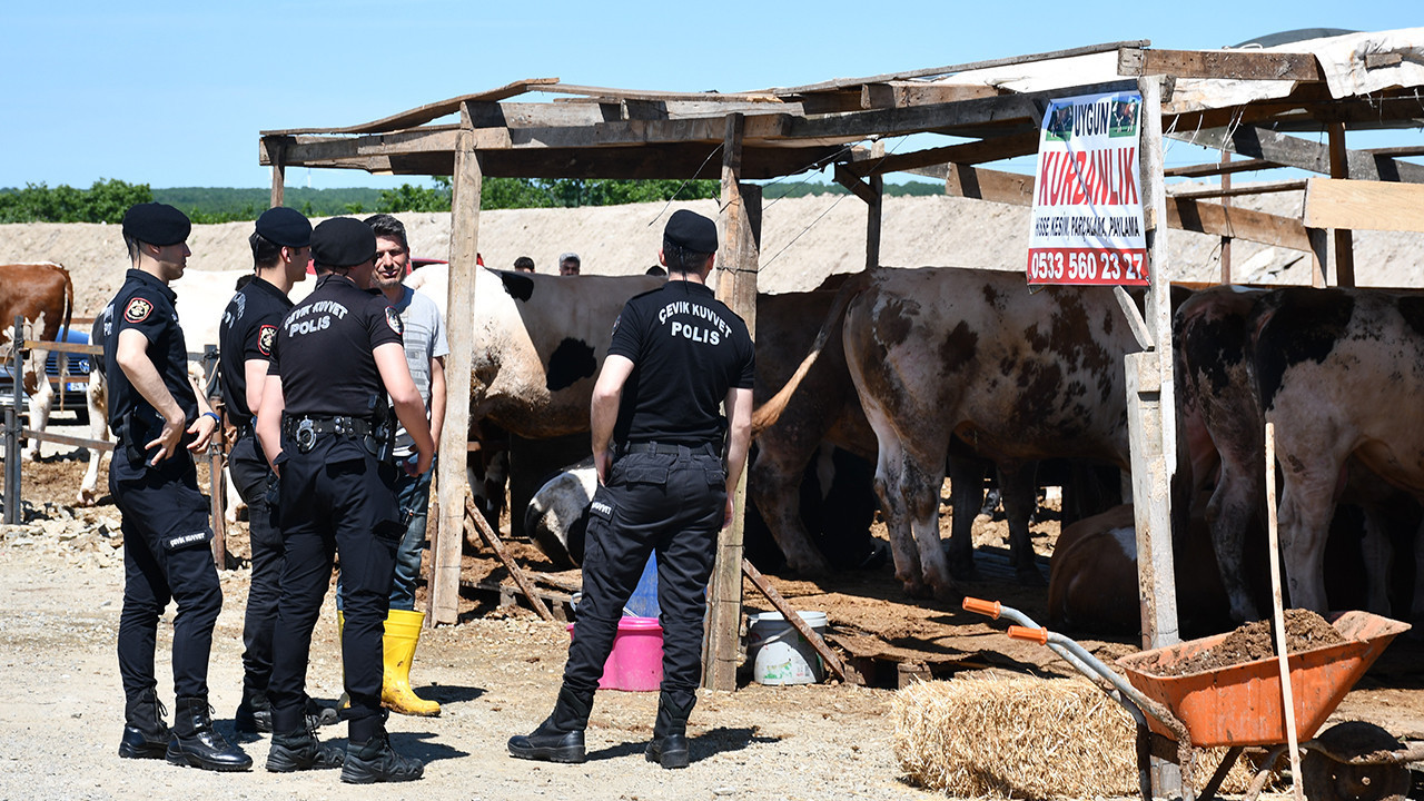 Kurban Pazarında Gergin Anlar: Yer Kavgası Yaralıları Kucakladı